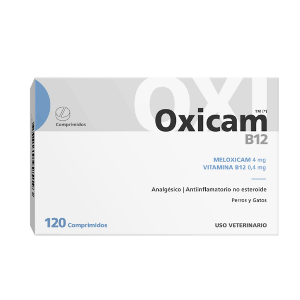 OXICAM B12 x 120 comprimidos
