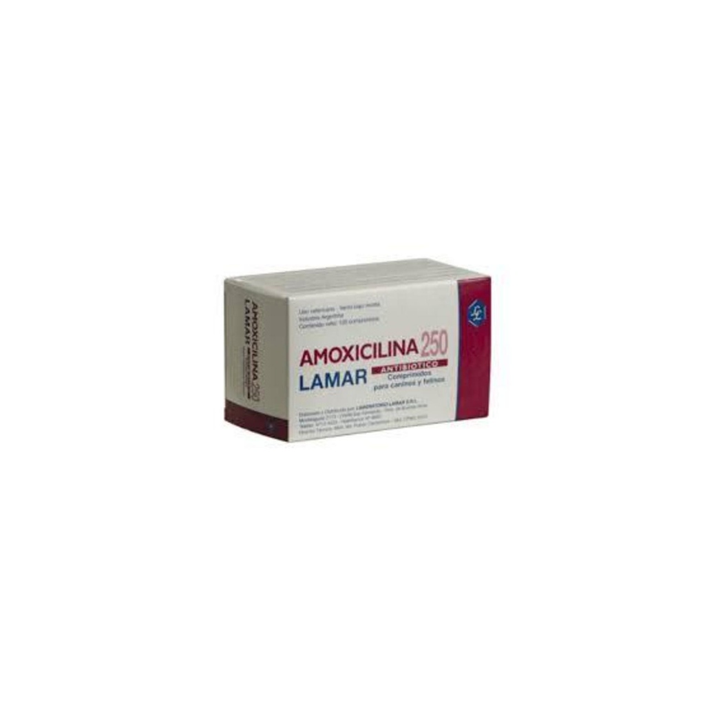 [1838] AMOXICILINA Lamar 250 mg x 100 comprimidos