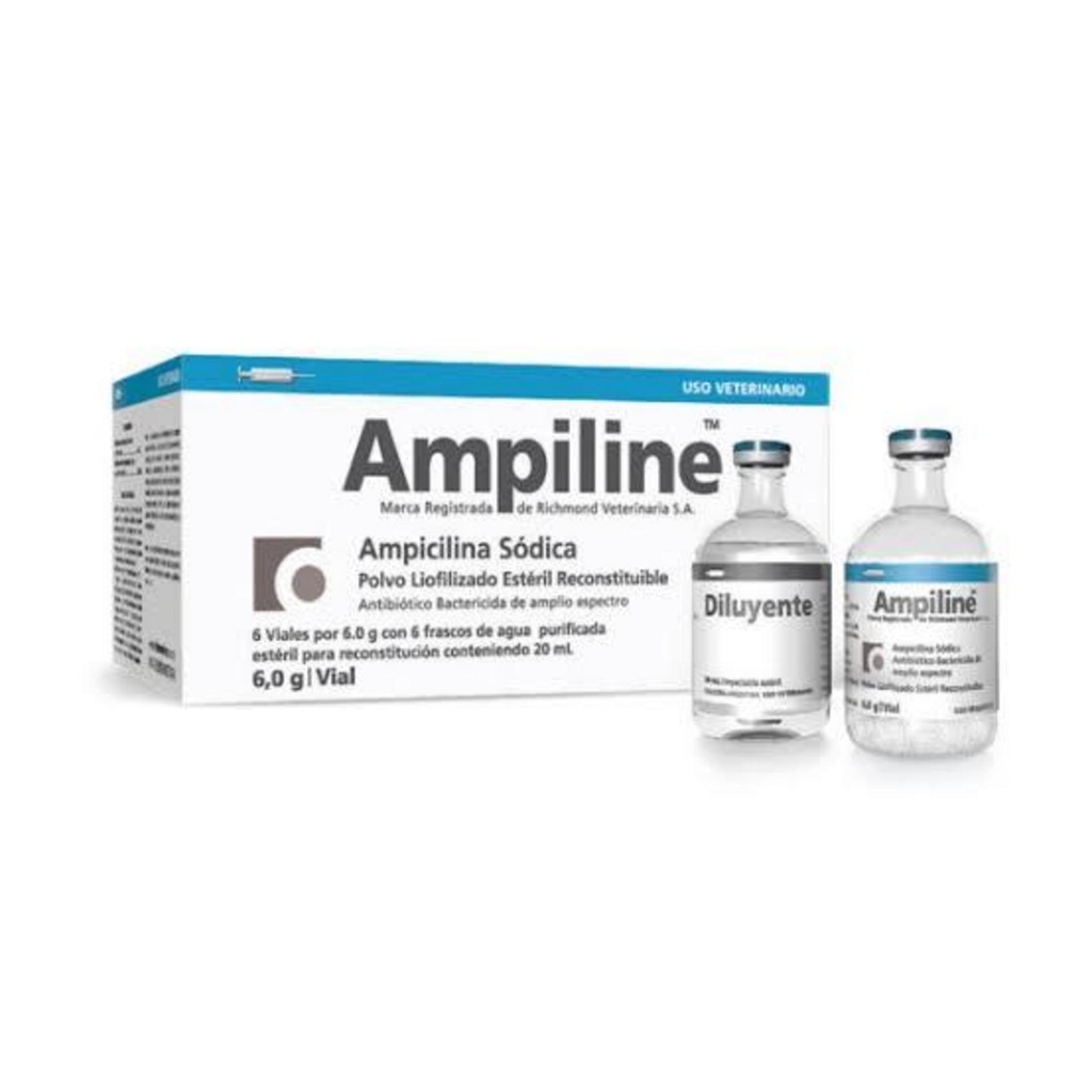 [320] AMPILINE Large caja 6 fco polvo + diluyente x 6 gr