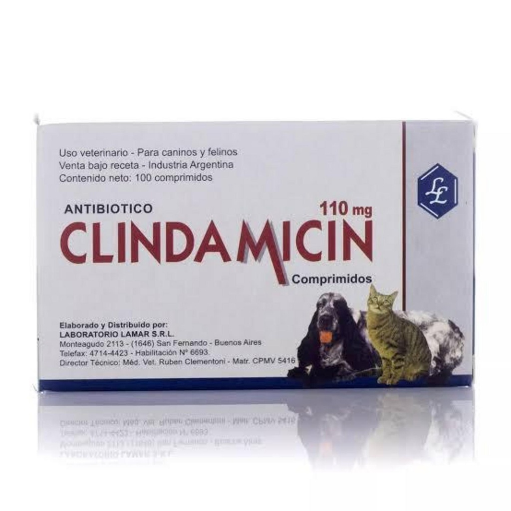 CLINDAMICIN 110 mg Lamar x 10 comprimidos