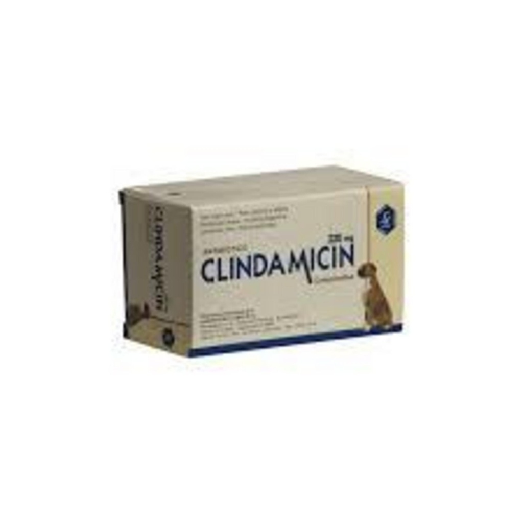 CLINDAMICIN 220 mg Lamar x 100 comprimidos