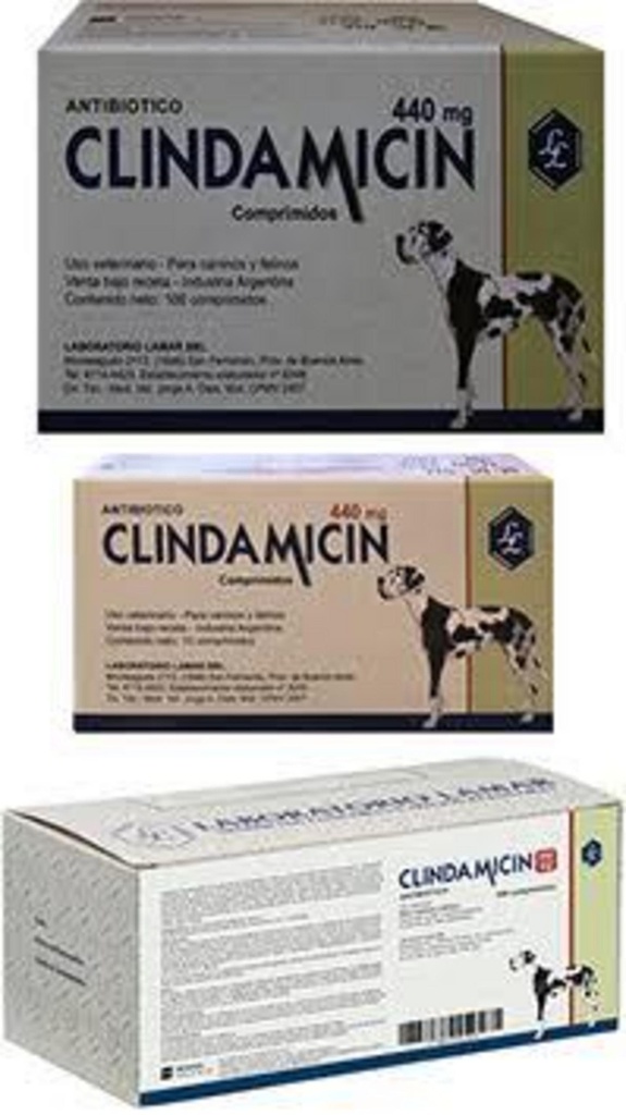 CLINDAMICIN 440 mg Lamar x 100 comprimidos