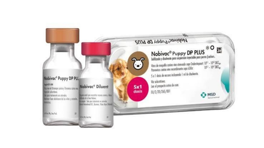 NOBIVAC Puppy DP Plus polvo + diluyente x 1 ds