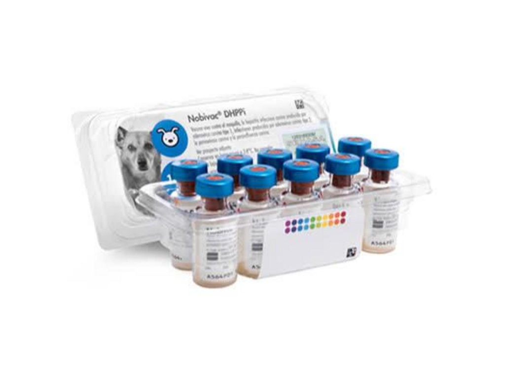 NOBIVAC DHPPI (Polvo) + Lepto (Diluyente) x 1 ds (moqui-adenoT1-parainf-parvi- Leptospira)