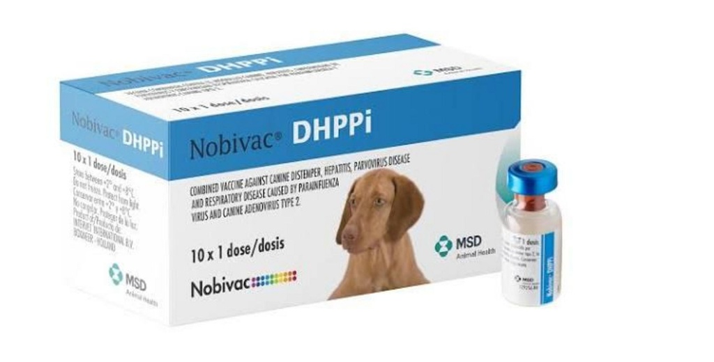 NOBIVAC DHPPI Polvo x 1 ds (moqui-adenoT1-parainf-parvi)