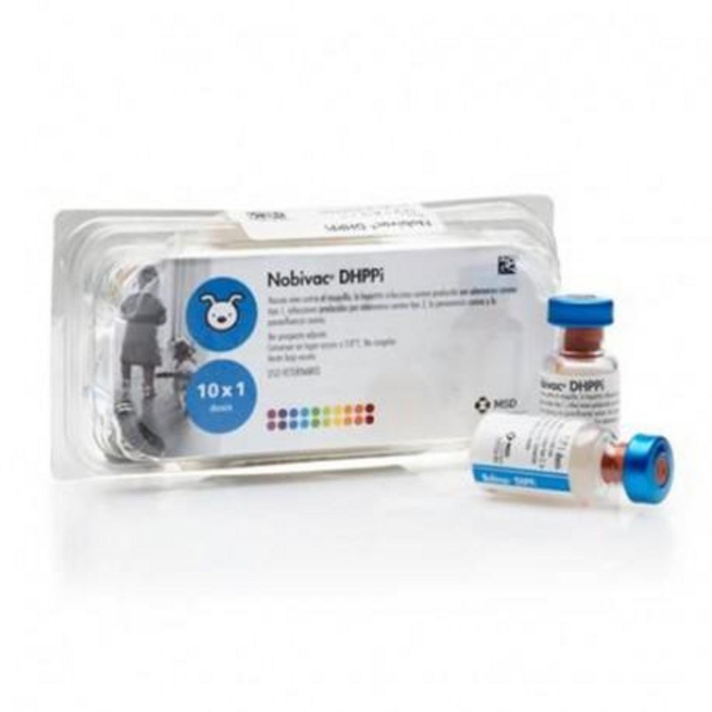 NOBIVAC Diluyente estéril x 1 ds