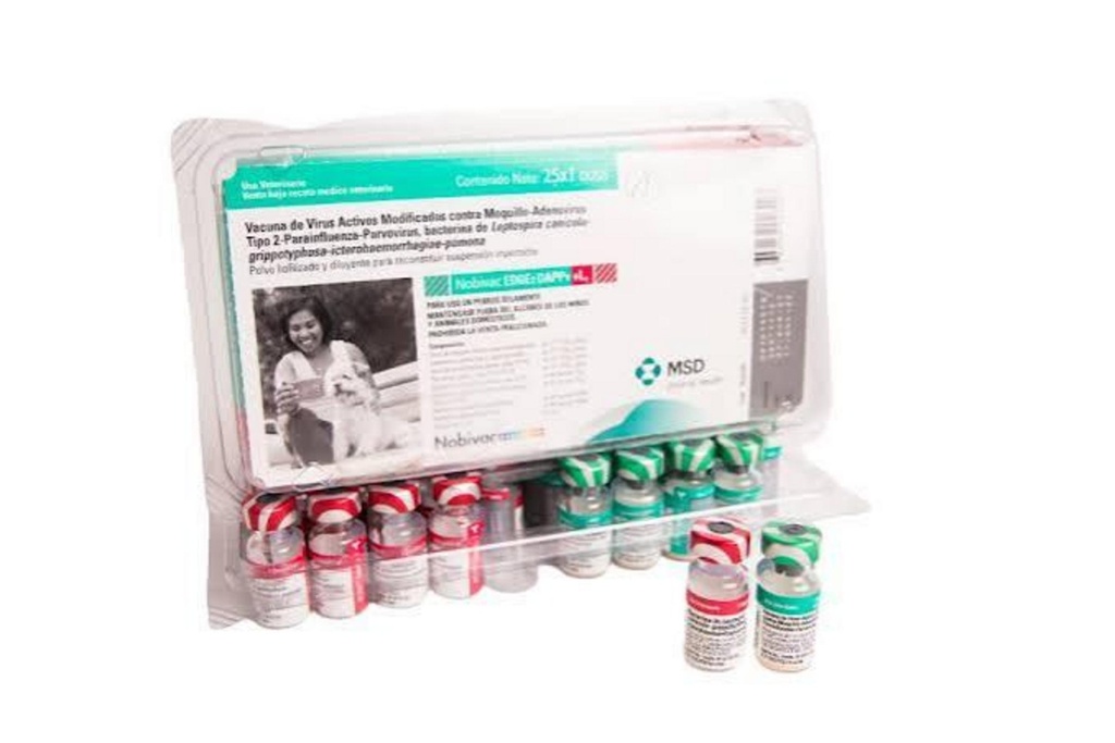 NOBIVAC Edge DAPPv+L4 Polvo+Diluyente x 1 ds (dist-adenT2-parainf-parvo-L4)