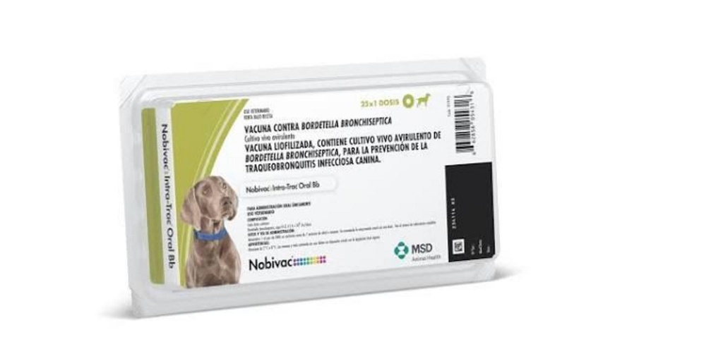NOBIVAC Intra-Trac Oral Bb + diluyente x 1 ds