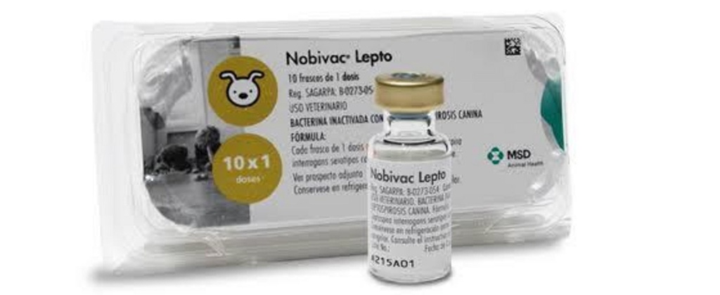 NOBIVAC Lepto x 1 ds (Leptospira)