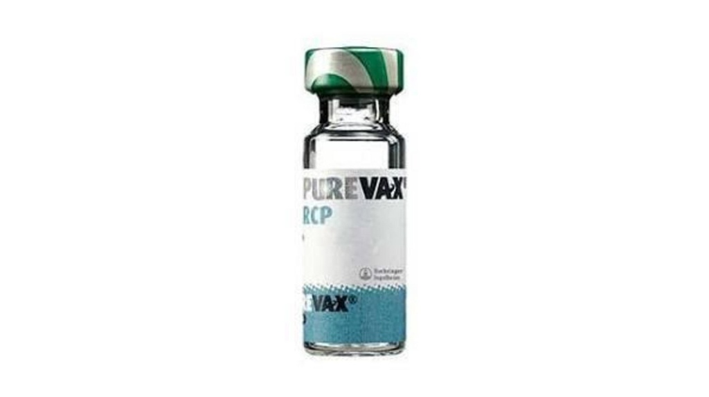 PUREVAX RCP x 1 ds polvo+diluyente