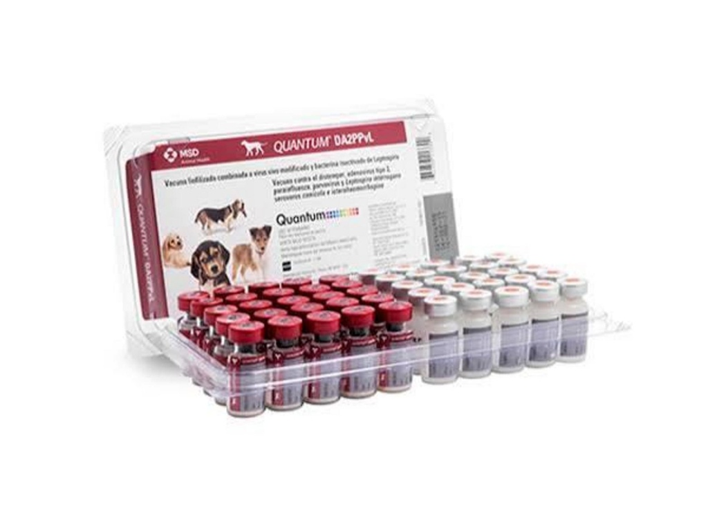 QUANTUM DA2PPvL Polvo+Diluyente x 1 ds (Moq-AdenT1T2-Parainf-Parvo-Lepto)