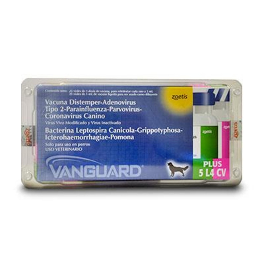 [536] VANGUARD Plus 5+CV+L4 x 1 ds