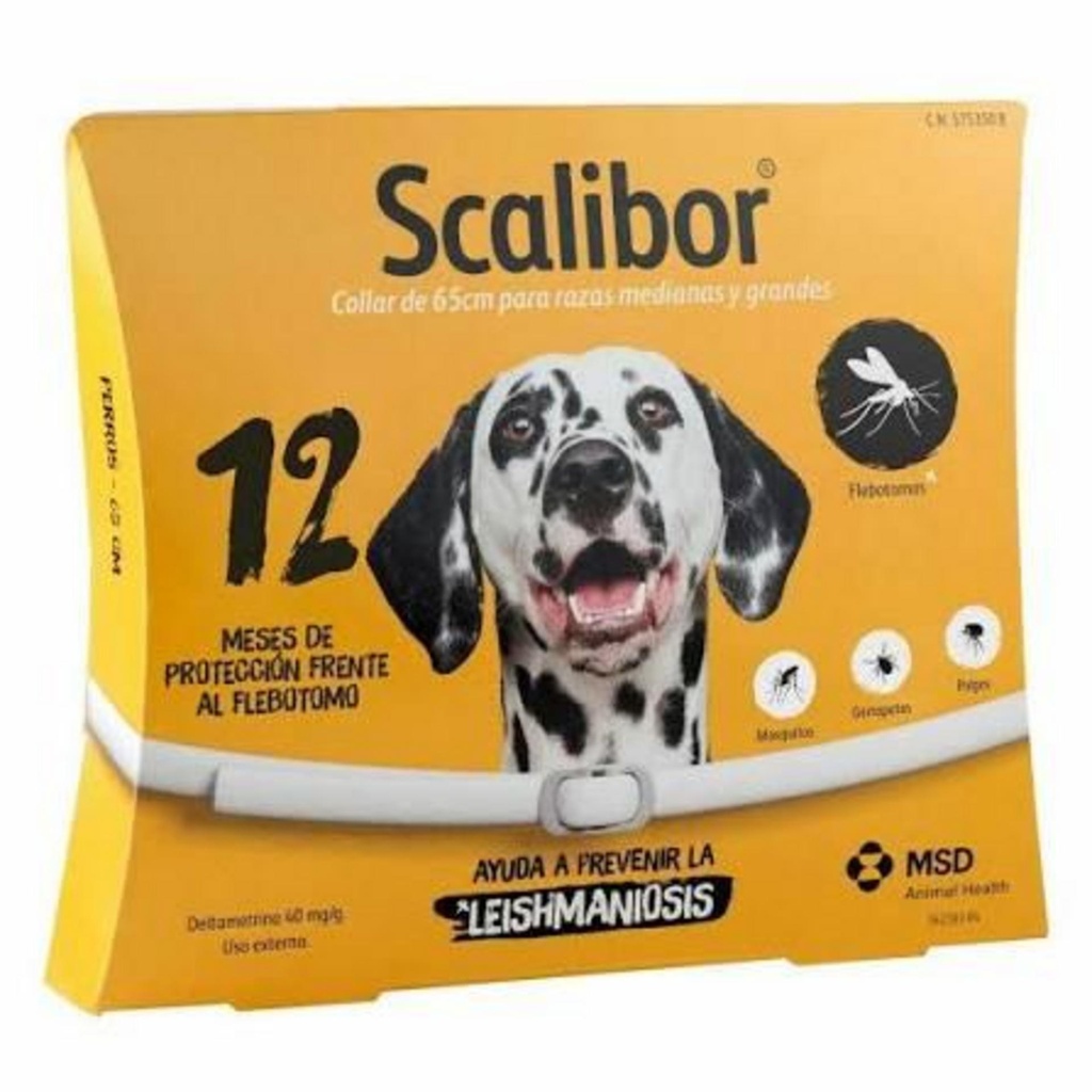 SCALIBOR Protector Band 65 cm
