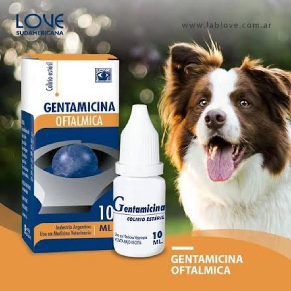 GENTAMICINA Colirio Estéril x 10 ml