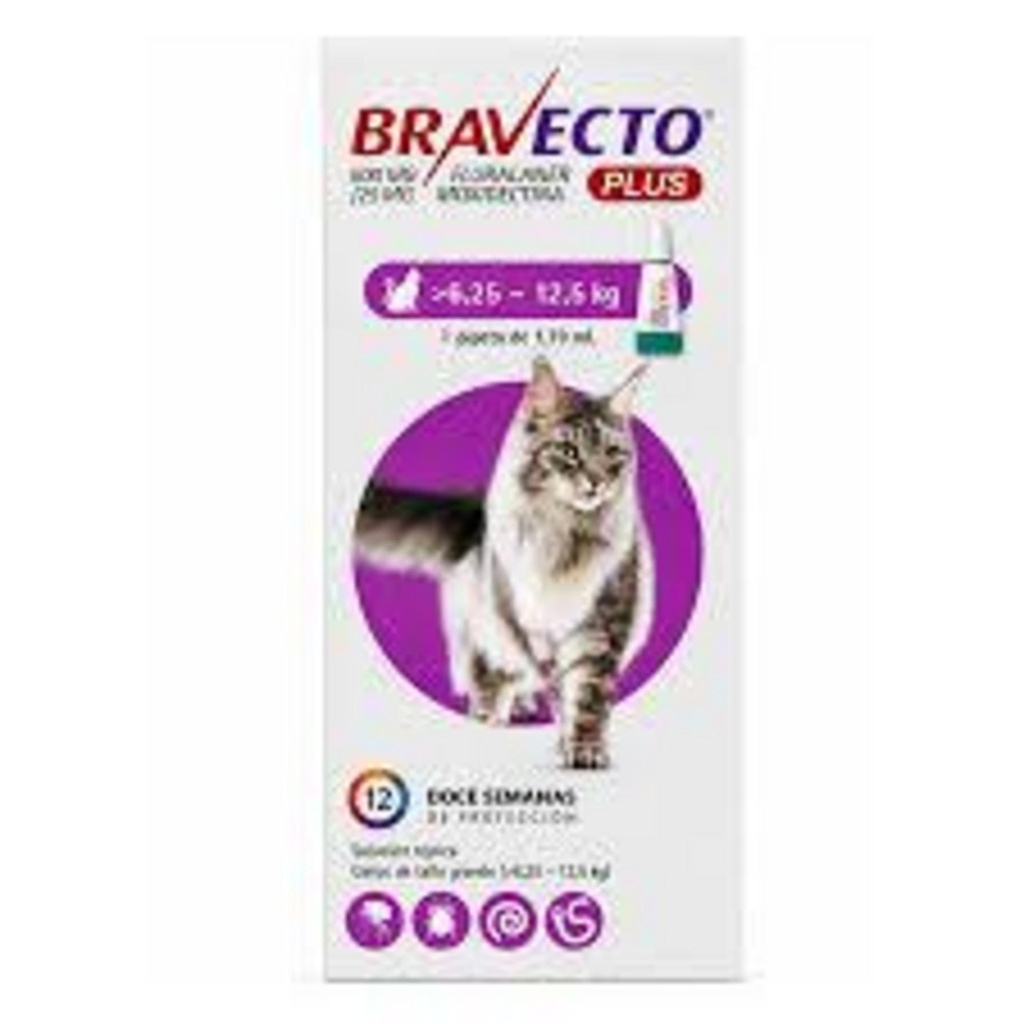 BRAVECTO Spot On Gato 500 mg (6,25-12,5kg)
