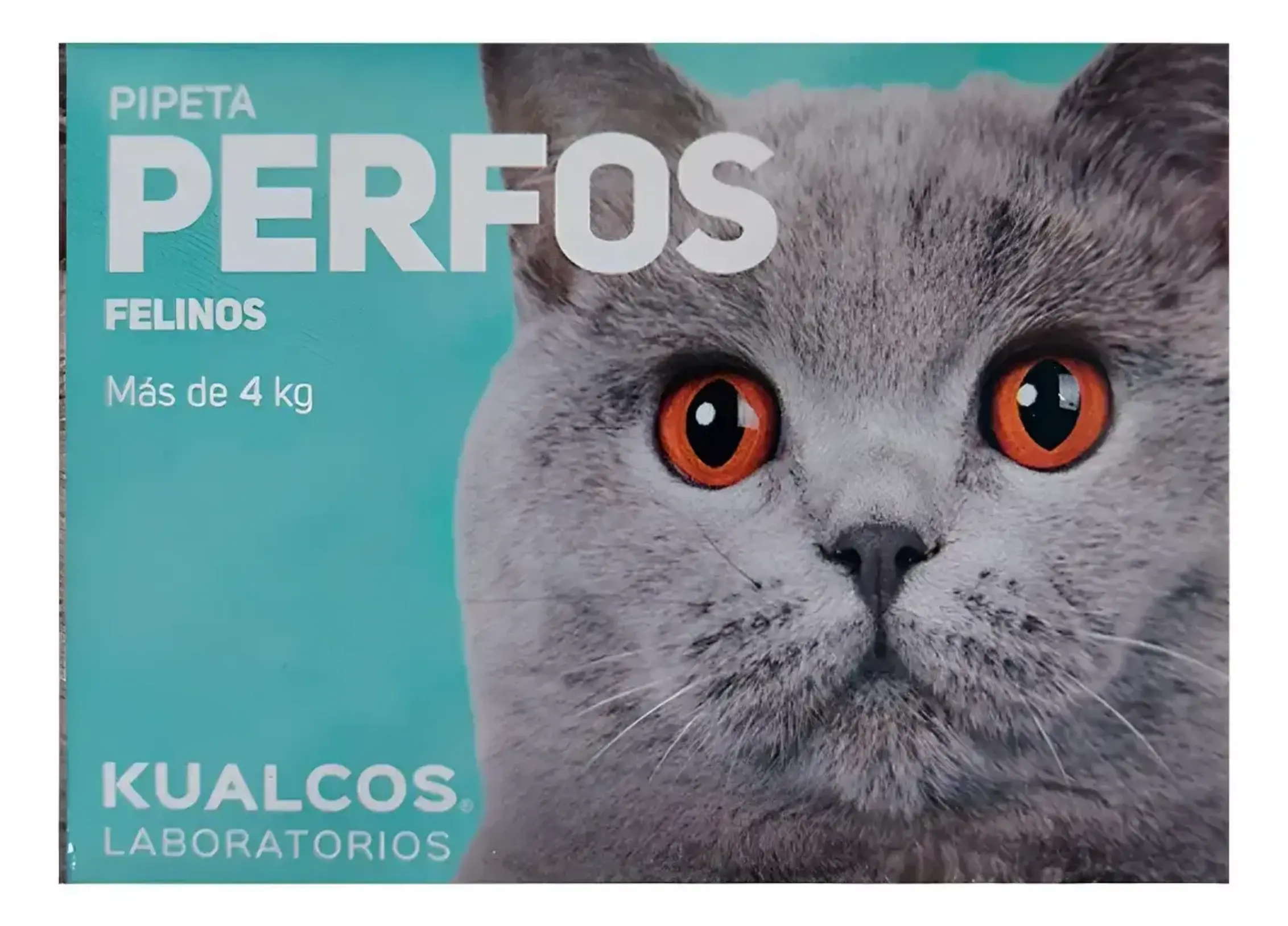 PERFOS Felino + 4 Kg Pipeta