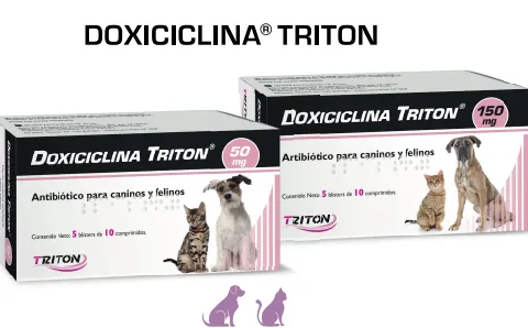 [1002201] DOXICICLINA 50 mg x 50 Comprimidos